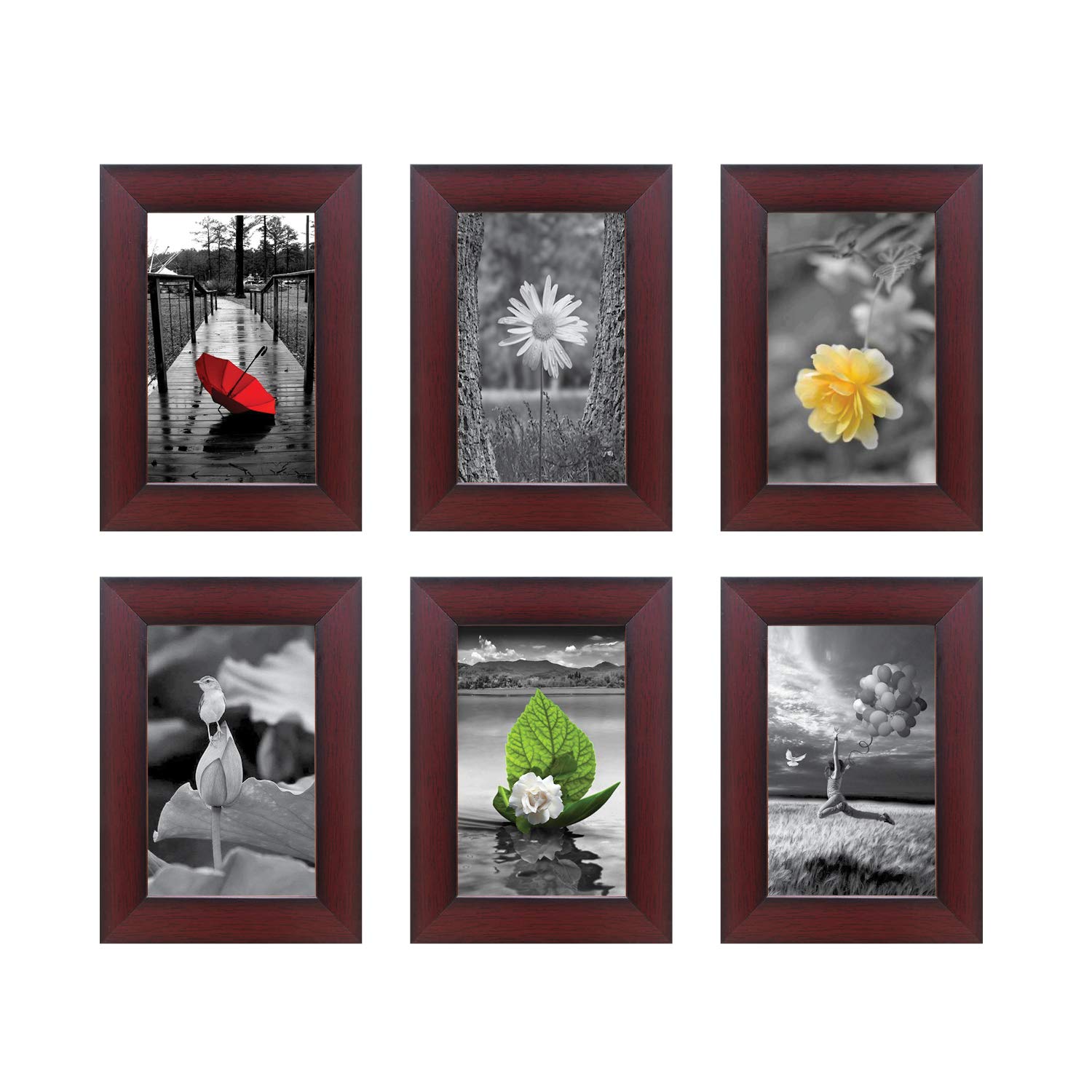 Solimo Rosewood Collage set of 6 Photo Frames